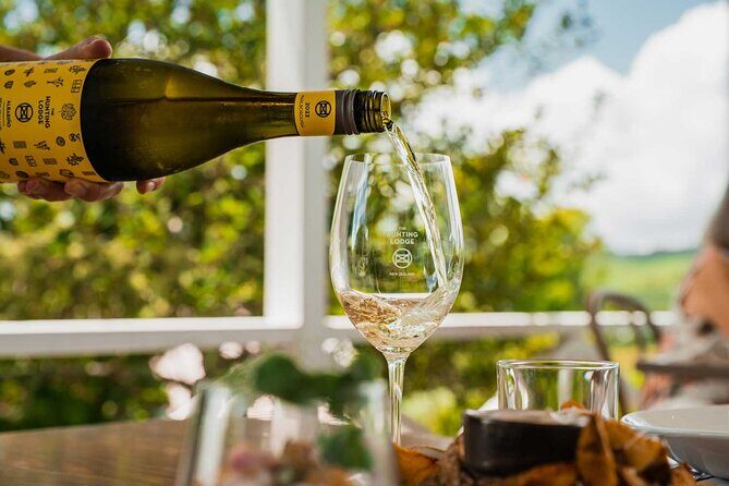 [PRIVATE] Haka to Waves Auckland West Coast Journey - Authentic Feedback from Travelers