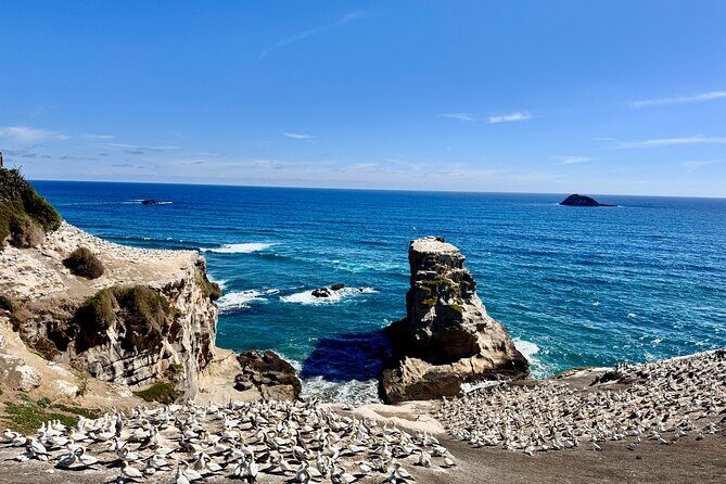 [PRIVATE] Haka to Waves Auckland West Coast Journey - FAQ