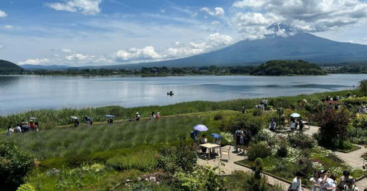 Private: Hakone and Kawaguchi in One Day. - Itinerary Highlights