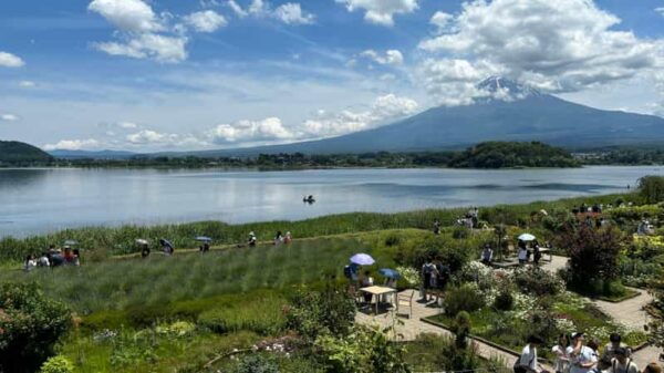 Private: Hakone and Kawaguchi in One Day. - Tips for a Successful Tour