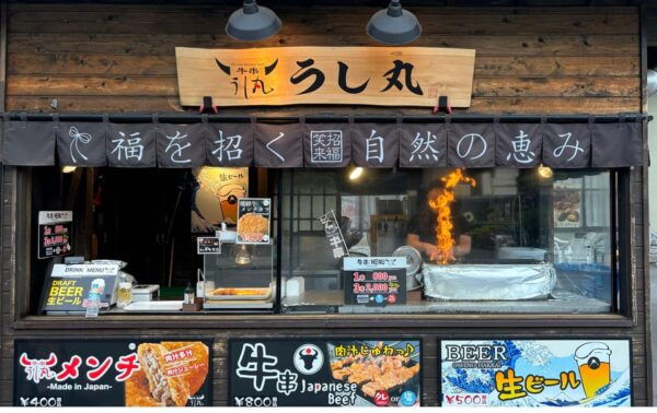Private: Hakone and Kawaguchi in One Day. - Best Times to Visit