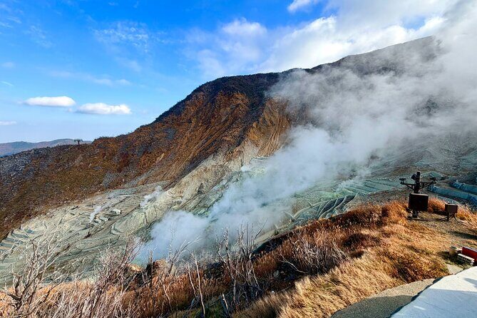 Private Hakone Rail Adventure - A Complete Breakdown of the Hakone Experience