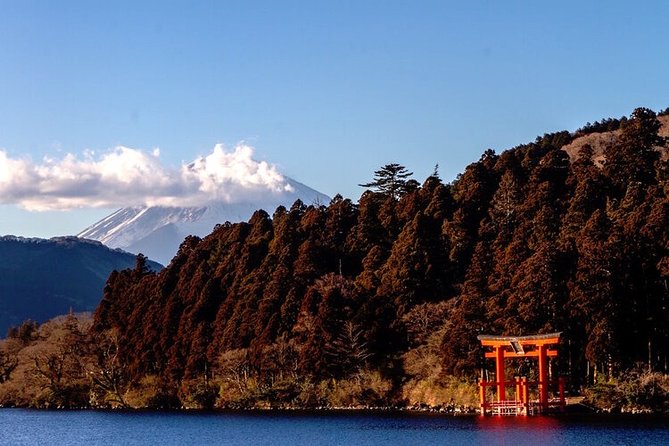 Private Hakone Tour - View of Mt. Fuji, Nature and Culture - Mt. Fuji Viewing