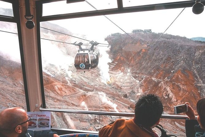 Private Hakone Tour - View of Mt. Fuji, Nature and Culture - Immersive Nature Experiences