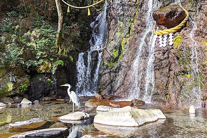 Private Hakone Tour - View of Mt. Fuji, Nature and Culture - Reviews and Ratings
