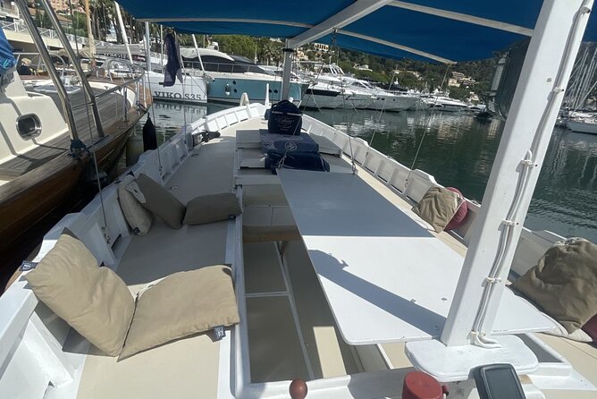 Private Half-Day Aboard a Pointed Boat With a Sea Expert - Pricing and Terms