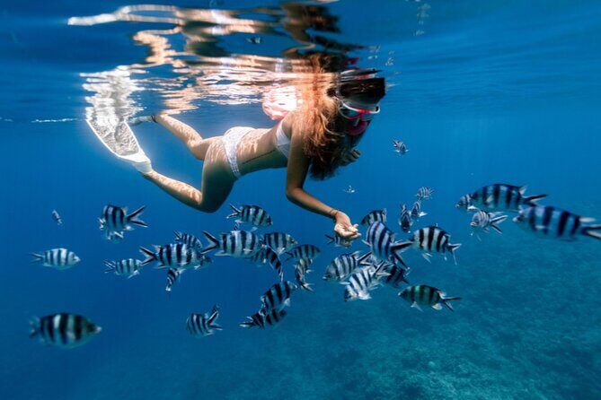 Private Half Day Afternoon Snorkel and Cruise on Serendipity - FAQ