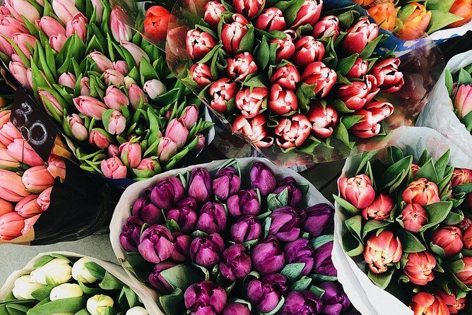 Private Half-Day Amsterdam Market Tour by Bike - Exploring Amsterdam’s Markets by Bike: A Practical and Authentic Tour Experience