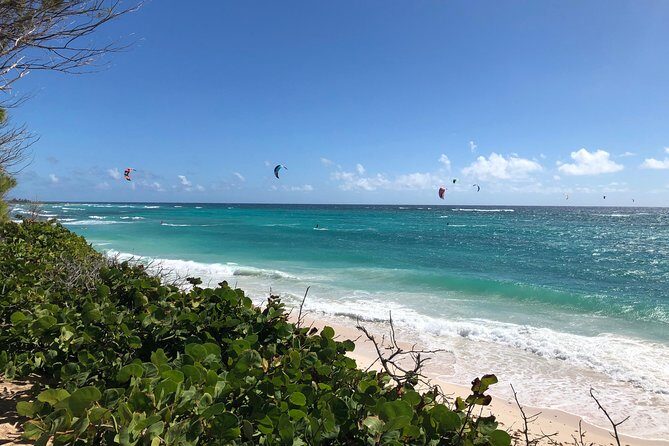 Private Half-Day Barbados Excursion - What Can You Expect at Each Stop?