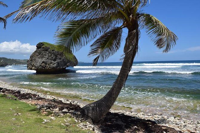 Private Half-Day Barbados Excursion - FAQs