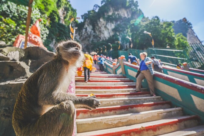 Private Half-Day Batu Caves and Cutural Tour in Kuala Lumpur - What to Bring