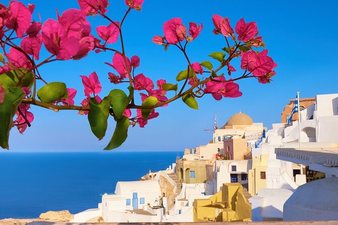 Private Half Day - Best of Santorini and Wine Tasting Tour - Reviews