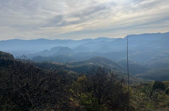 Private Half Day Bird Watching Experience - An In-Depth Look at the Experience