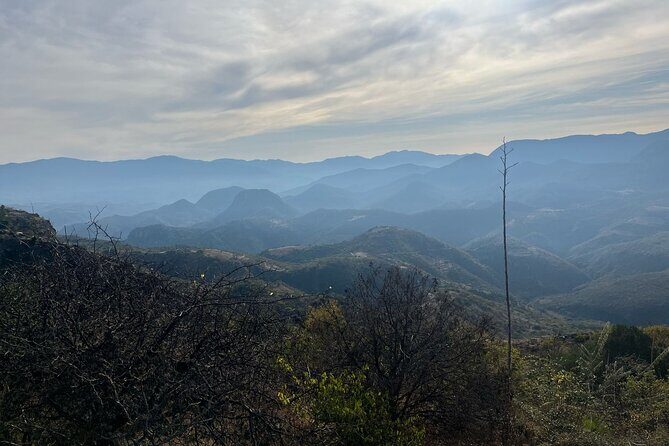 Private Half Day Bird Watching Experience - Who Should Consider This Tour?