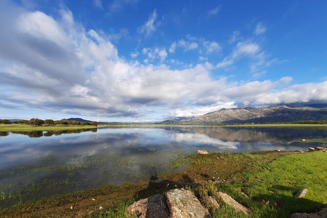 Private Half-Day Birding Tour in Santillana Reservoir Madrid - Tour Inclusions