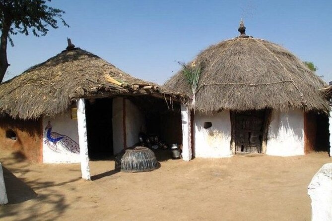Private Half- Day Bishnoi Village Safari Day Tour In Jodhpur - Frequently Asked Questions