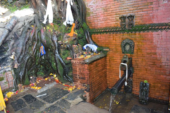 Private Half Day Budhanilkantha Tour - Cancellation Policy and Reviews