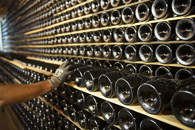 Private Half-Day Cava Winery Tour & Tasting - Common Questions