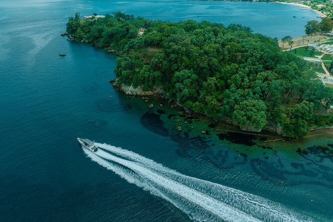 Private Half Day Cruise on a Speed Boat in Corfu Island - What to Expect on the Cruise