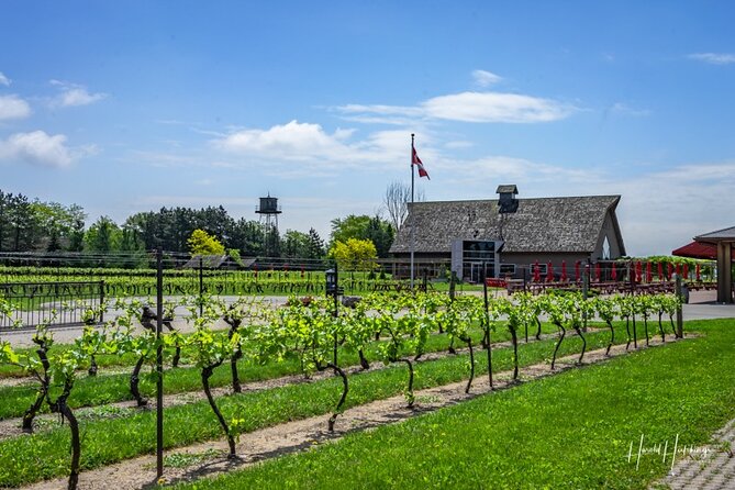 Private Half-Day Custom Wine Tasting Tour of Niagara-on-the-Lake - Tour Highlights