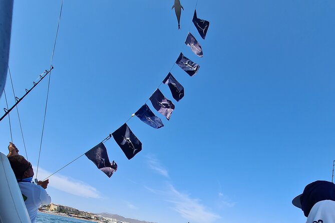 Private Half-Day Deep Sea, Tuna and Marlin Sports Fishing Cabo San Lucas - Pricing and Booking Information