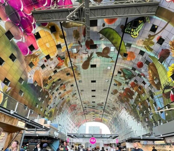 Private Half-Day Delft and Rotterdam Tour - Inclusions