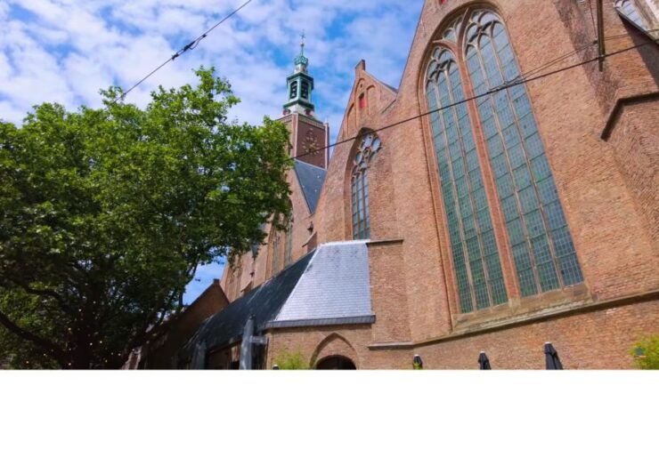 Private Half-Day Delft and the Hague Tour - Tour Details and Options