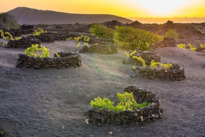 Private Half Day Excursion to Lanzarote With Pick-Up and Drop-Off - Customer Reviews