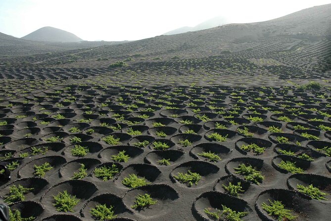 Private Half Day Excursion to Lanzarote With Pick-Up and Drop-Off - Additional Information