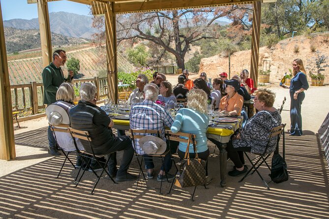 Private Half-Day Experience at Viña Villard - Weather and Cancellation Policies