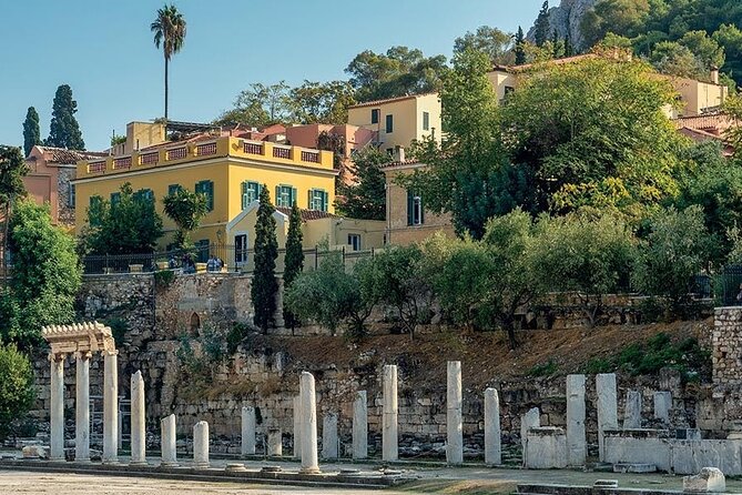 Private Half-Day Guided Tour of Athens - Tour Guide