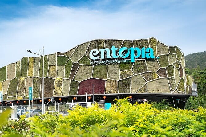 Private Half-Day Hawker Trails Food Tour in George Town - Who Its Best For