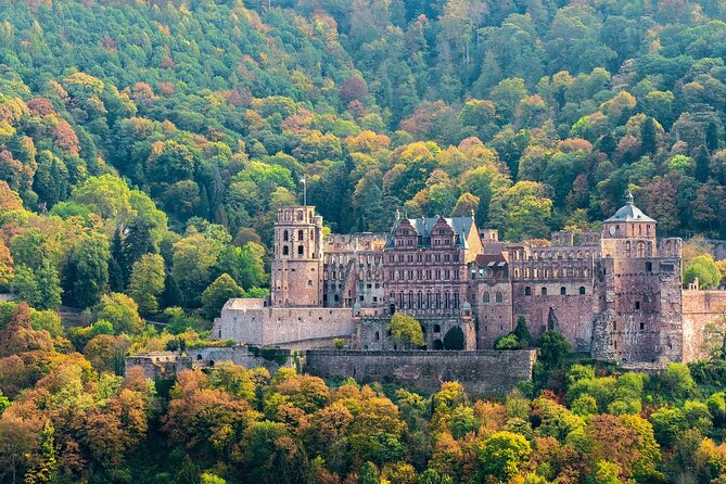 Private Half-Day Heidelberg Tour From Frankfurt - Common Questions