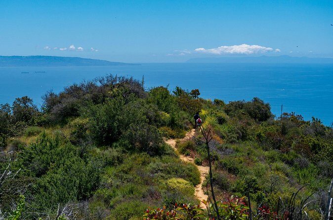 Private Half Day Hidden Hollywood Tour - Price and Value