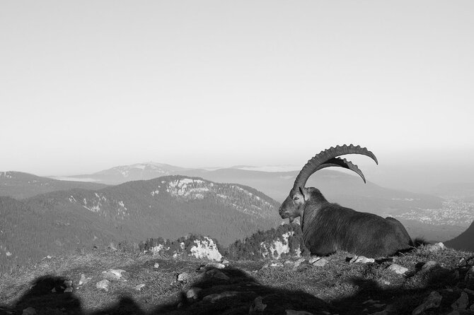 Private Half-Day Hiking Experience in Creux Du Van - Overview and Experience
