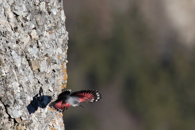 Private Half-Day Hiking Experience in Creux Du Van - Additional Information