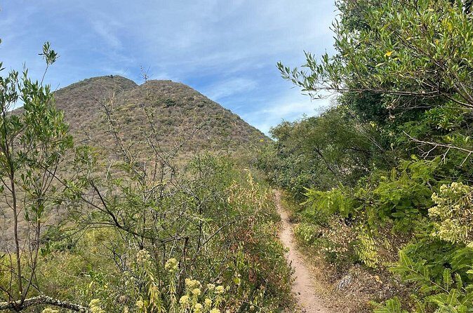 Private Half Day Hiking Experience in Picacho - What to Expect from the Picacho Hiking Experience