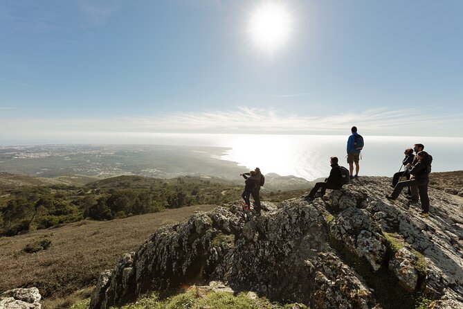 Private Half Day Hiking Tour in Sintra From Lisbon - Tour Highlights