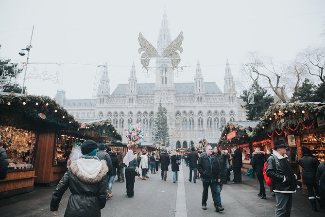 Private Half-Day History Walking Tour in Vienna: The City of Many Pasts - Price and Additional Information