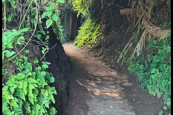 Private Half Day Hue to Vinh Moc Tunnels(Vietnam DMZ) - Tips for Visiting the Vinh Moc Tunnels