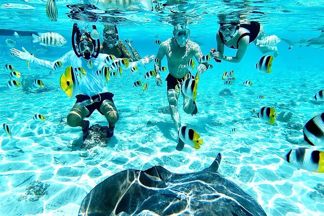 PRIVATE HALF DAY LAGOON TOUR - Bora Bora Cultural Lagoon Tour - Traveler Reviews
