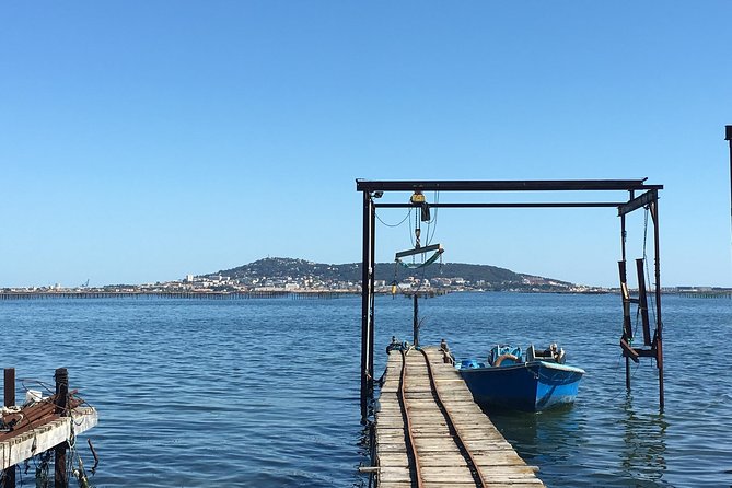 Private Half-Day Languedoc Wine and Oyster Tour From Sète - Traveler Photos