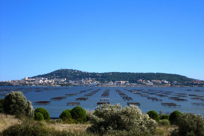 Private Half-Day Languedoc Wine and Oyster Tour From Sète - Common Questions