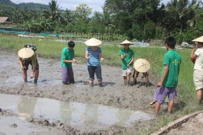 Private Half Day Luang Prabang Rural Farm Experience With Lunch - Weather Information