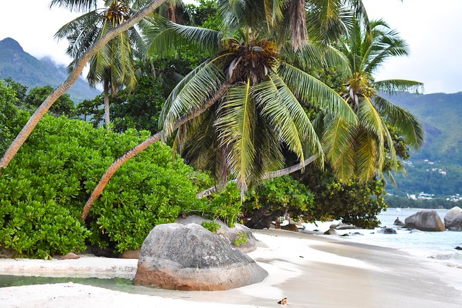 Private Half Day Mahe Island Tour (1-5 Persons) - Meeting and Pickup Details