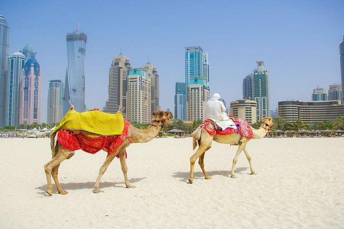 Private Half Day Modern Dubai City Tour With Lunch - Additional Information and Policies