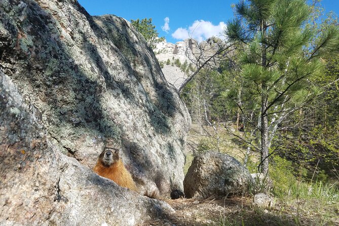 Private Half Day Mt Rushmore & Black Hills Tour - Pricing and Terms