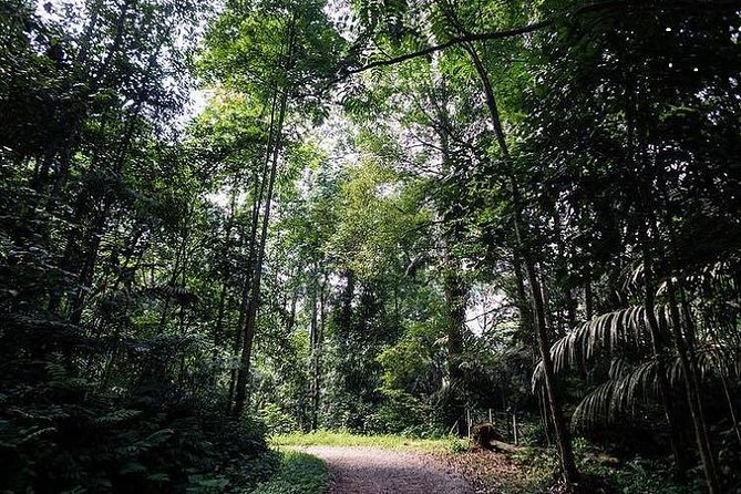 Private Half-Day National Botanic Garden Cycling Tour From Kuala Lumpur - Meeting Point and Start