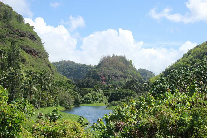Private Half Day Oahu North Shore Anti-Tour - Authentic Experiences and Surprising Details  