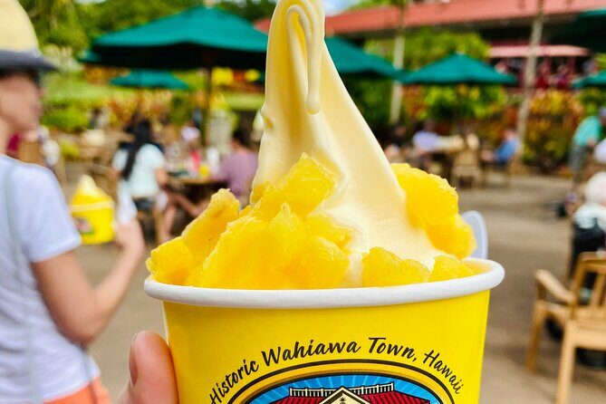 Private Half Day Oahu North Shore Anti-Tour - Frequently Asked Questions  